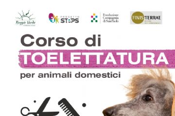 Corso per toelettatura animali da compagnia